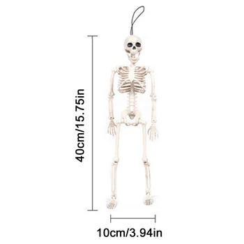 Fleksibel Menneskelige Anatomiske Anatomi Skelet Model Fuld Naturlig Størrelse Halloween Fest Prop Dekoration
