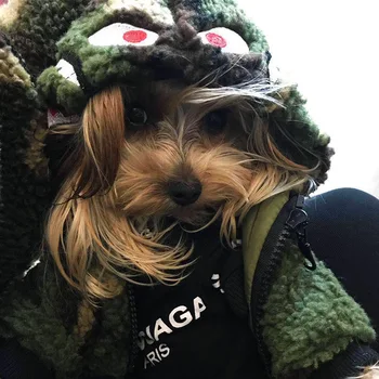 Pet vinter hund tøj plys mode hund coat sport designer pet tøj jakke fransk bulldog chihuahua pug labrador-hættetrøje
