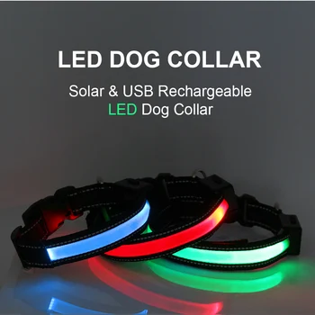 Petrainer LED hundehalsbånd med Sol Opladning Og USB-Opladelige hundesnor
