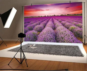 Laeacco Romantisk Lavendel Have Drømmende Portræt Naturskønne Fotografisk Baggrund Problemfri Fotografering Baggrunde Til Foto-Studio