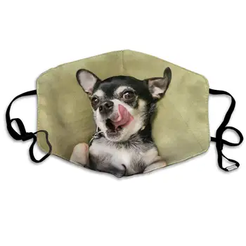 Premium Støv Maske - Vaskbar Åndbar Munden Ansigtsmaske - Justerbar Ørebøjle For Børn Kvinder Mænd Chihuahua Hund