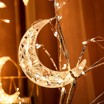 220V EU ' s LED-Stjernede Månen Jul Guirlander String kulørte Lamper Gardin Lys Udendørs For Xmas Party Haven Bryllup Dekorationer