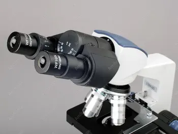 Kikkert Sammensat Mikroskop--AmScope 40X-2500 X LED Digital Kikkert Sammensat Mikroskop med 3D-Fase + USB-Kamera B120C-E