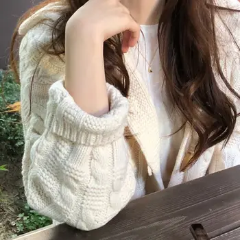 Efterår / vinter 2020 strikket hætte cardigan kvinder sweater koreanske kort tunge uld sweater løs casual mode