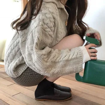 Efterår / vinter 2020 strikket hætte cardigan kvinder sweater koreanske kort tunge uld sweater løs casual mode