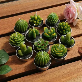 12Pcs Saftige Planter Skimmel Kaktus Aroma Gips Silikone Stearinlys Forme Hjem Bryllup Fødselsdag Dekoration af Stearinlys