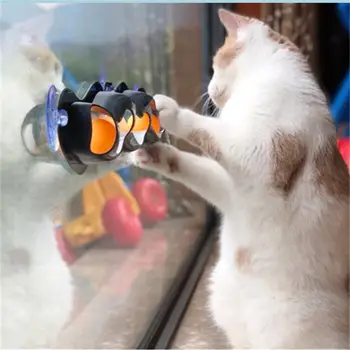 Kæledyr Kat Legetøj Interaktive Banen Bolden Toy Katte Sjove Kat Spil Intelligens Windows Disk Kat For Toy Bolde Til Træning