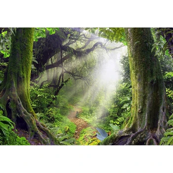 Yeele Jungle Skov Mærkelige Træ Hus Skumringen Forfærdelige Fotografering Baggrunde Tilpasset Fotografiske Kulisser til Foto-Studio