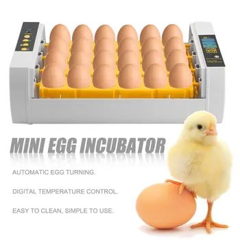 Praktiske 24 Æg Med Stor Kapacitet Mini-Inkubator For Fjerkræ Kylling Vagtler Tyrkiet Æg Brug I Hjemmet Automatisk Æg Drejning