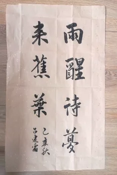 10sheets/masse, Kinesisk Ris Papir Hvid farve Med Glitter Kalligrafi, at Skrive Papir Sumi-e Ink Xuan Papir