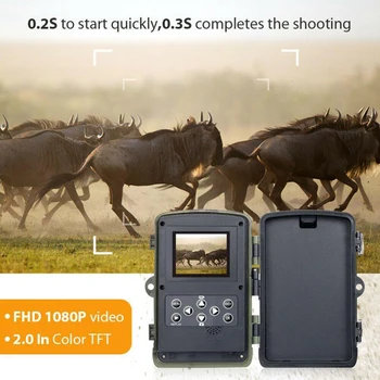 Spejder-Cam Video IP65 Vandtæt Jungle 1080P Night Vision WiFi Trail Kamera Have Støtte TF Kort Offentlig Dyreliv Plast