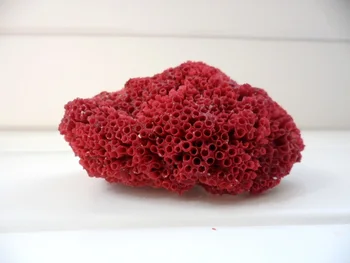 Rød koral naturlige concha manualidades akvarium tilbehør kreative muslingeskaller, middelhavs-stil hjem indretning 26352