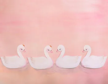 Nyfødte Baby Brusebad Lille Pige Pink Fotografering Baggrund White Swan Fotografisk Atelier Foto Baggrund Fødselsdag Baggrund 27359