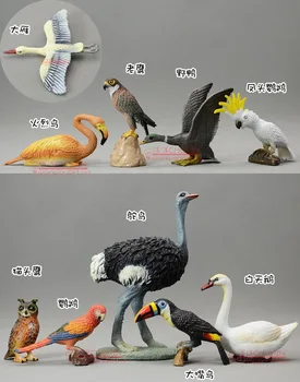 Solid model toucan fugl struds swan flamingo eagle owl papegøje Action & Toy Tal samlinger Dekoration