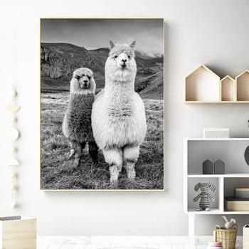 Dejlige Dyr Væg Kunst, Indretning Billede Dyr Alpaca Fotografering Tryk På Lærred Maleri Moderne Boligindretning Plakater