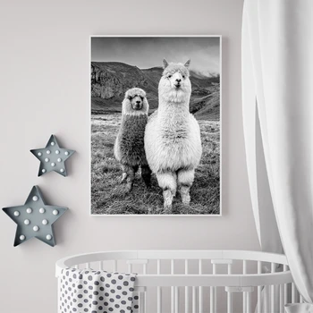 Dejlige Dyr Væg Kunst, Indretning Billede Dyr Alpaca Fotografering Tryk På Lærred Maleri Moderne Boligindretning Plakater