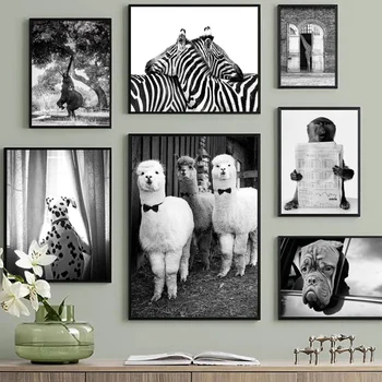 Zebra Alpaca Bulldog Bavian Dyr Foto Væg Kunst, Lærred Maleri Nordiske Plakater Og Prints Væg Billeder For At Stue Indretning