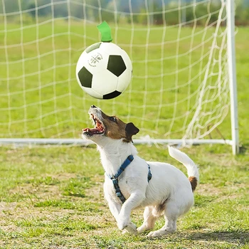Offentlig Vand Sjove Hvalp Fodbold Tug-Toy Pet Grib Faner Fodbold Indendørs Interaktive Hundelegetøj