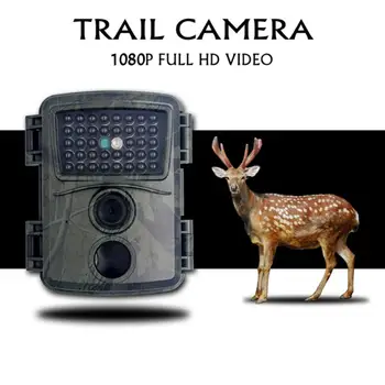 12MP 1080P HD-Spil Jagt Kamera Trail Kamera Vandtæt Dyreliv Scouting Jagt Cam Med 60° Vidvinkel Linse