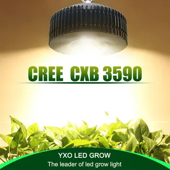 Original Cree COB CXB3590 CXB 3590 led vækst lys 3000k 3500k 5000k 80 Samsung LM561C S6 led vækst lys til medicinske planter