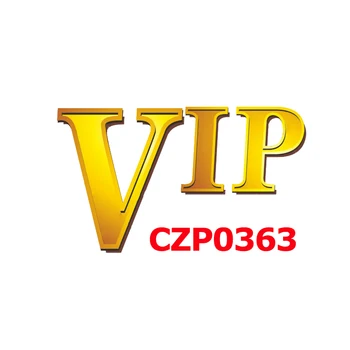 CZP0363 Runde Midten Brugerdefineret Billede Vedhæng PiSpecial VIP Link