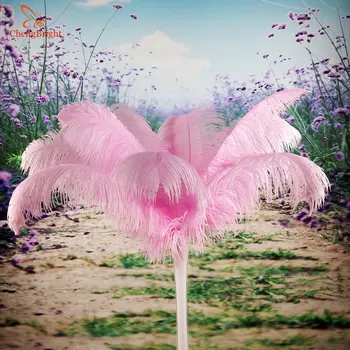 ChengBright 100Pcs/Masse Pink Naturlige strudsefjer For Håndværk 15-70CM Karneval Kostumer Parti Hjem Bryllup Dekorationer Plumes 788