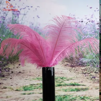 ChengBright 100Pcs/Masse Pink Naturlige strudsefjer For Håndværk 15-70CM Karneval Kostumer Parti Hjem Bryllup Dekorationer Plumes