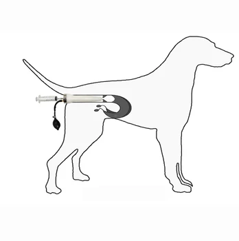 Dog Kunstig Insemina Sprøjte Efterligning Naturlig Parring Kunstig Insemination Silikone Inseminating Sprøjte Dog Infusion Værktøj